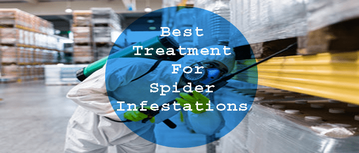 Best Treatment For Spider Infestations